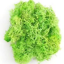 Load image into Gallery viewer, Artificial Coloured Moss - Various Colours and sizes