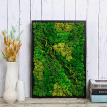 Load image into Gallery viewer, Artificial Coloured Moss - Various Colours and sizes