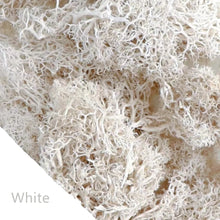 Load image into Gallery viewer, Artificial Coloured Moss - Various Colours and sizes