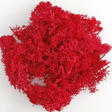 Load image into Gallery viewer, Artificial Coloured Moss - Various Colours and sizes