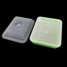 Load image into Gallery viewer, Microgreens Sprouter Tray - Kit