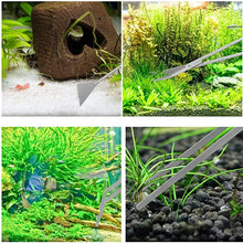 Load image into Gallery viewer, Terrarium Tools - Individual Pieces