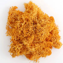 Load image into Gallery viewer, Artificial Coloured Moss - Various Colours and sizes