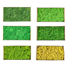 Load image into Gallery viewer, Artificial Coloured Moss - Various Colours and sizes