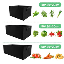 Load image into Gallery viewer, Rectangular Grow Bags (Box)
