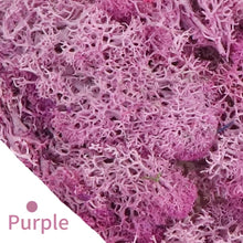 Load image into Gallery viewer, Artificial Coloured Moss - Various Colours and sizes