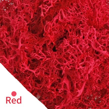 Load image into Gallery viewer, Artificial Coloured Moss - Various Colours and sizes