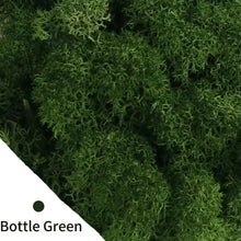 Load image into Gallery viewer, Artificial Coloured Moss - Various Colours and sizes