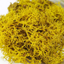Load image into Gallery viewer, Artificial Coloured Moss - Various Colours and sizes