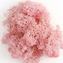 Load image into Gallery viewer, Artificial Coloured Moss - Various Colours and sizes