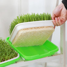 Load image into Gallery viewer, Microgreens Sprouter Tray - Kit