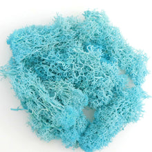Load image into Gallery viewer, Artificial Coloured Moss - Various Colours and sizes