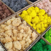 Load image into Gallery viewer, Artificial Coloured Moss - Various Colours and sizes