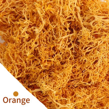 Load image into Gallery viewer, Artificial Coloured Moss - Various Colours and sizes