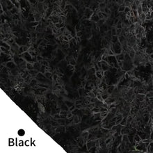 Load image into Gallery viewer, Artificial Coloured Moss - Various Colours and sizes