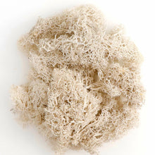 Load image into Gallery viewer, Artificial Coloured Moss - Various Colours and sizes