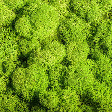 Load image into Gallery viewer, Artificial Coloured Moss - Various Colours and sizes