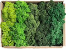 Load image into Gallery viewer, Artificial Coloured Moss - Various Colours and sizes
