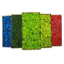 Load image into Gallery viewer, Artificial Coloured Moss - Various Colours and sizes