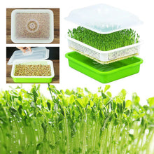 Load image into Gallery viewer, Microgreens Sprouter Tray - Kit