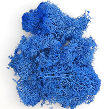 Load image into Gallery viewer, Artificial Coloured Moss - Various Colours and sizes