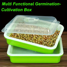 Load image into Gallery viewer, Microgreens Sprouter Tray - Kit