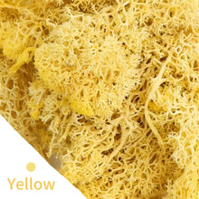 Load image into Gallery viewer, Artificial Coloured Moss - Various Colours and sizes