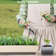 Load image into Gallery viewer, Bulk - Biodegradable Grow Bags (100/200/300/500 piece)