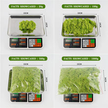 Load image into Gallery viewer, Artificial Coloured Moss - Various Colours and sizes