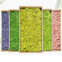Load image into Gallery viewer, Artificial Coloured Moss - Various Colours and sizes