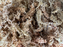 Load image into Gallery viewer, Sphagnum Moss