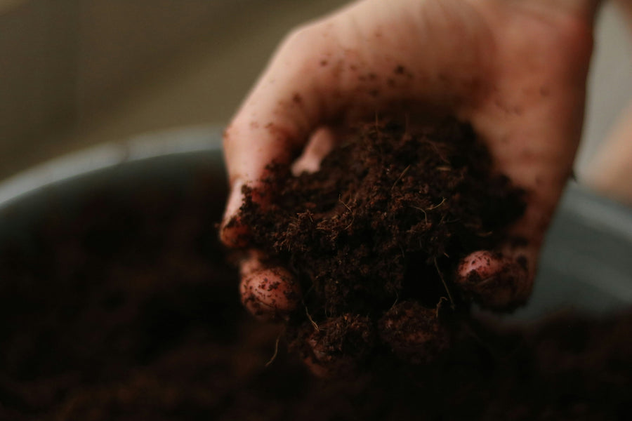 The Ultimate Guide to Garden Soils in Australia