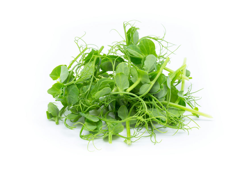 Pea Sprouts