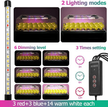 Load image into Gallery viewer, Seed starter tray with grow light (36-cell seed germination kit)
