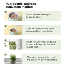 Load image into Gallery viewer, Hydroponic Cat Grass Microgreens Growing Kit
