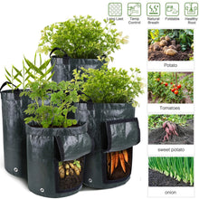 Load image into Gallery viewer, Potatoes Grow Bags
