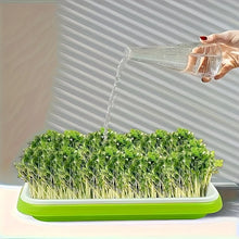 Load image into Gallery viewer, Microgreens Sprouter Tray - Kit
