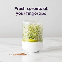 Load image into Gallery viewer, Countertop Sprouter Growing Kit

