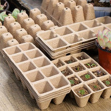 Load image into Gallery viewer, Seed Starter Tray
