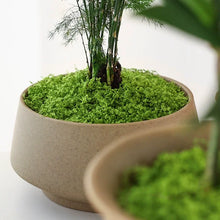 Load image into Gallery viewer, Artificial Green Moss
