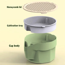Load image into Gallery viewer, Hydroponic Cat Grass Microgreens Growing Kit

