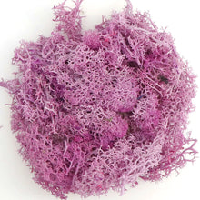 Load image into Gallery viewer, Artificial Coloured Moss - Various Colours and sizes
