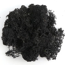 Load image into Gallery viewer, Artificial Coloured Moss - Various Colours and sizes
