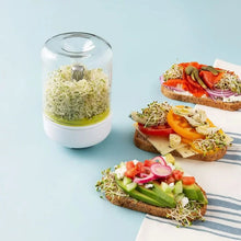 Load image into Gallery viewer, Countertop Sprouter Growing Kit
