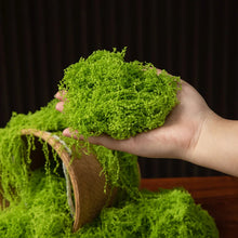 Load image into Gallery viewer, Artificial Green Moss
