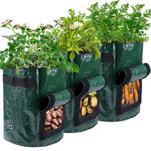 Load image into Gallery viewer, Potatoes Grow Bags
