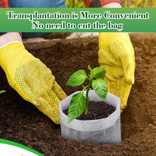 Load image into Gallery viewer, Bulk - Biodegradable Grow Bags (100/200/300/500 piece)
