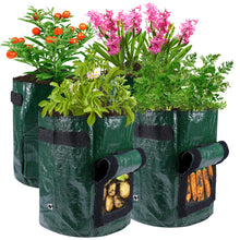 Load image into Gallery viewer, Potatoes Grow Bags
