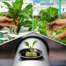 Load image into Gallery viewer, Seed Starter Cubes- Ideal for Hydroponic and Soilless Planting
