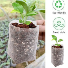 Load image into Gallery viewer, Bulk - Biodegradable Grow Bags (100/200/300/500 piece)
